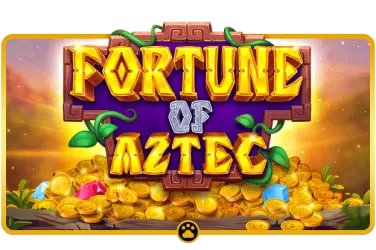 3cnc bet